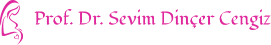  PROF. DR. SEVİM DİNÇER CENGİZ